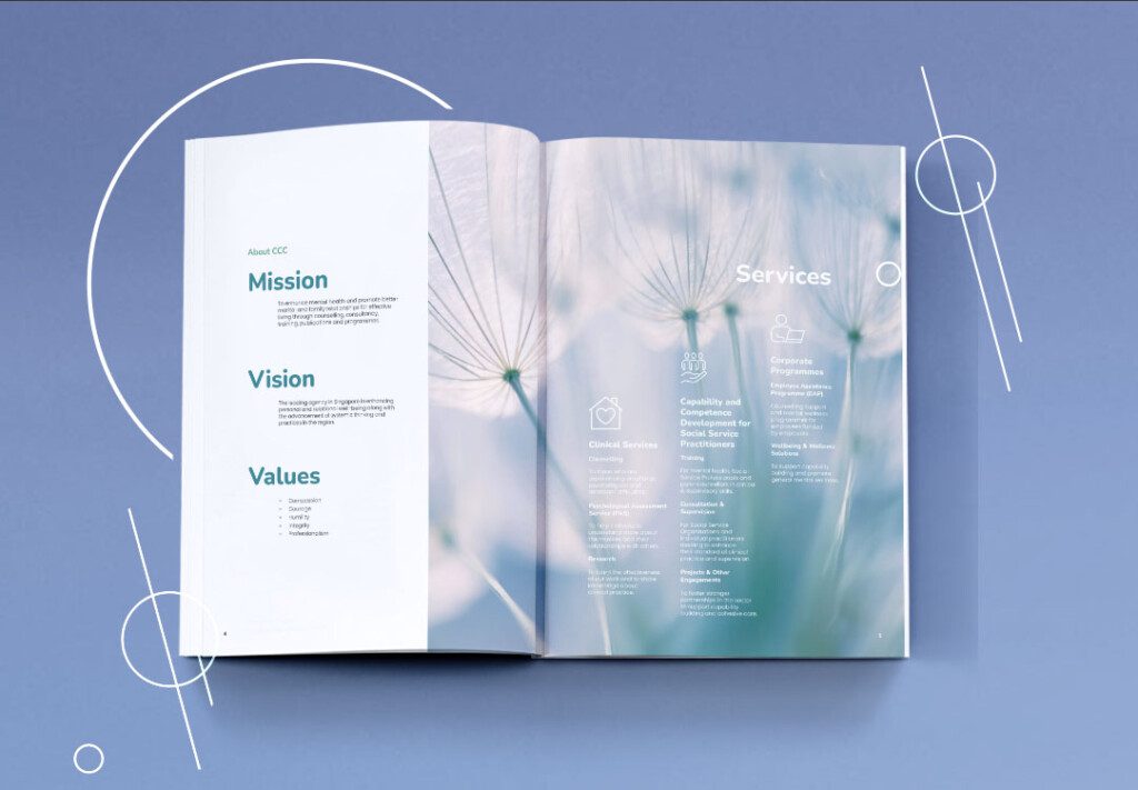 care counselling annual report 2024